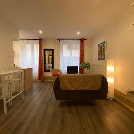 L'Ours De Colmar - Appartements En Centre Ville Exteriör bild
